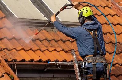 Démoussage et hydrofuge de toiture à Tourriers